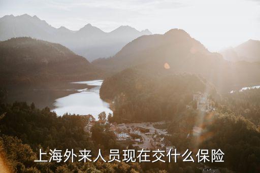 上海外來人員現在交什么保險