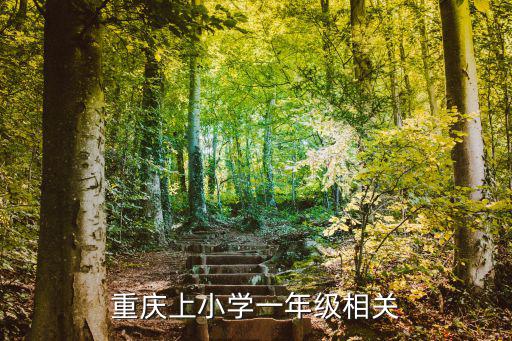 重慶上小學一年級相關