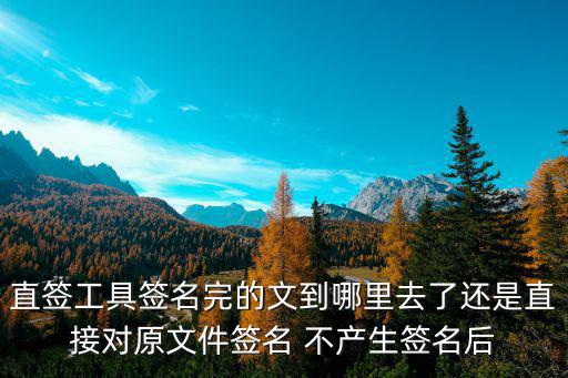 直簽工具簽名完的文到哪里去了還是直接對(duì)原文件簽名 不產(chǎn)生簽名后