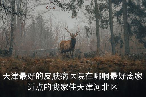 天津最好的皮膚病醫院在哪啊最好離家近點的我家住天津河北區