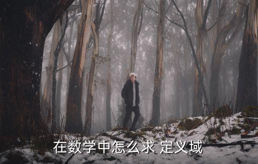在數(shù)學(xué)中怎么求 定義域