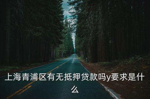 上海青浦區有無抵押貸款嗎y要求是什么