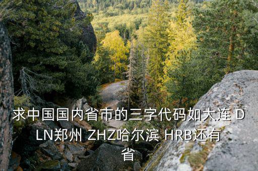 求中國國內省市的三字代碼如大連 DLN鄭州 ZHZ哈爾濱 HRB還有省
