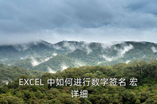 數字簽名怎么簽，軟件數字簽名怎么弄