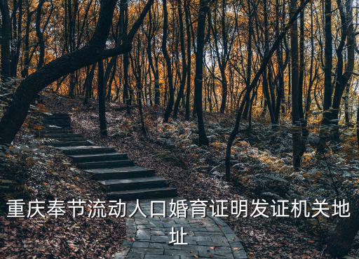 重慶奉節(jié)流動人口婚育證明發(fā)證機關地址