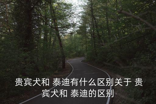  貴賓犬和 泰迪有什么區(qū)別關(guān)于 貴賓犬和 泰迪的區(qū)別