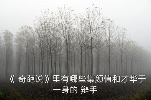 《 奇葩說》里有哪些集顏值和才華于一身的 辯手