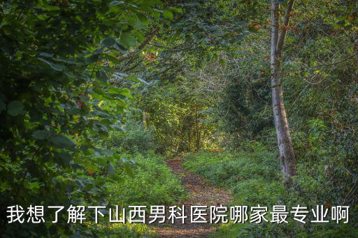 我想了解下山西男科醫院哪家最專業啊
