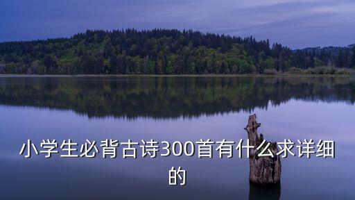 小學生必背古詩300首有什么求詳細的