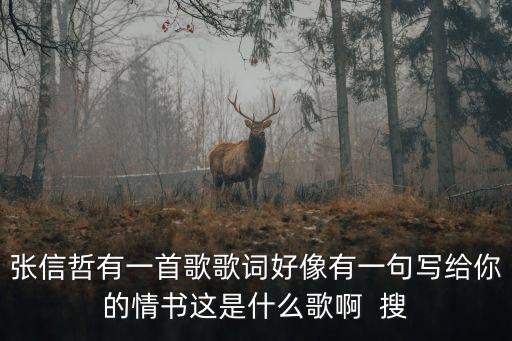 張信哲有一首歌歌詞好像有一句寫給你的情書這是什么歌啊  搜