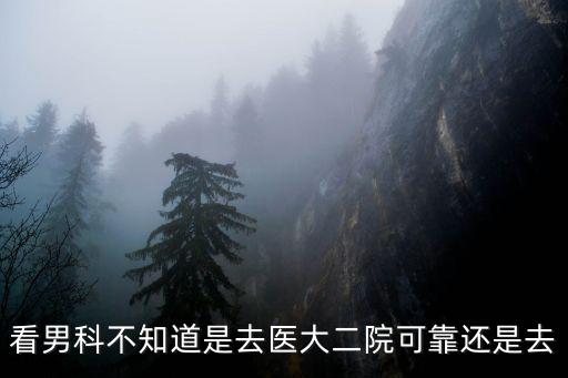 看男科不知道是去醫大二院可靠還是去