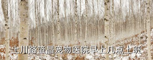 上川路籃晶寵物醫院早上幾點上班