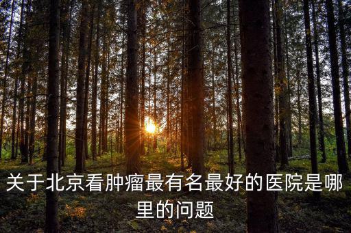 關于北京看腫瘤最有名最好的醫院是哪里的問題