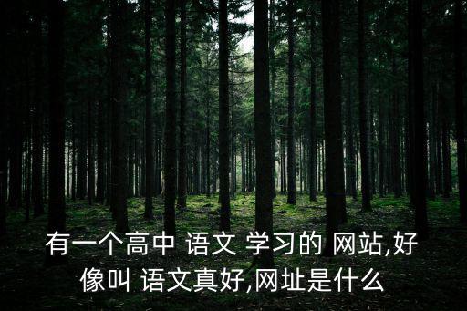 語(yǔ)文學(xué)習(xí)網(wǎng)站,k12人工智能學(xué)習(xí)系統(tǒng)小學(xué)完全不難學(xué)