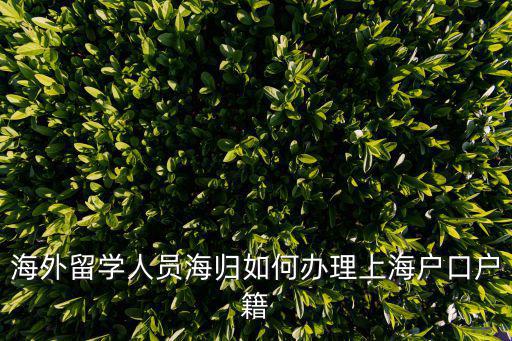 海外留學人員海歸如何辦理上海戶口戶籍