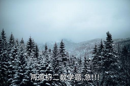 勾股定理測試題,直角三角形是否是正方形?答案出爐!