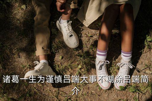 諸葛一生為謹(jǐn)慎呂端大事不糊涂呂端簡(jiǎn)介