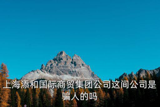 上海添和國(guó)際商貿(mào)集團(tuán)公司這間公司是騙人的嗎