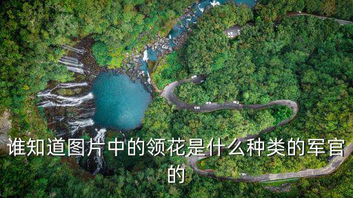 八一圖片,一份優秀手抄報需要注意哪些事項?