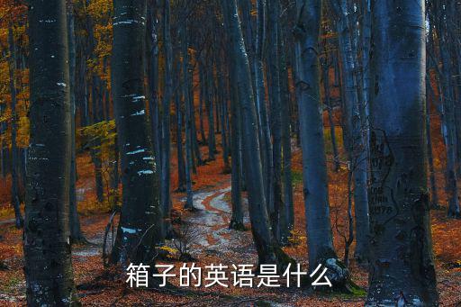 箱子的英語是什么