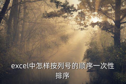 excel中怎樣按列號(hào)的順序一次性排序