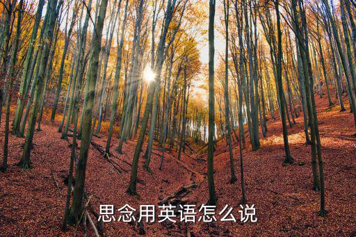 思念用英語怎么說