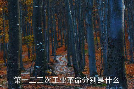 三次工業(yè)革命，第三次工業(yè)革命叫什么