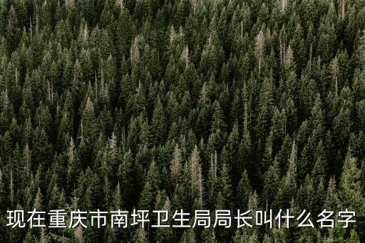 現在重慶市南坪衛生局局長叫什么名字