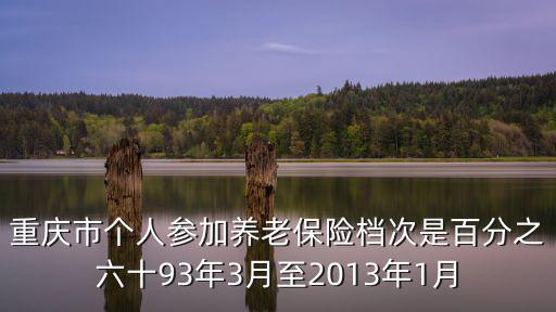 重慶市個(gè)人參加養(yǎng)老保險(xiǎn)檔次是百分之六十93年3月至2013年1月