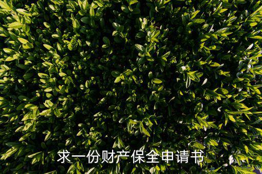 求一份財(cái)產(chǎn)保全申請(qǐng)書(shū)