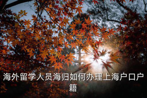 國外留學生在上海落戶政策，海外留學人員海歸如何辦理上海戶口戶籍