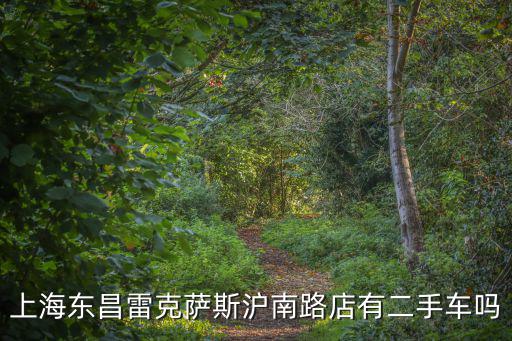 上海東昌雷克薩斯滬南路店有二手車嗎