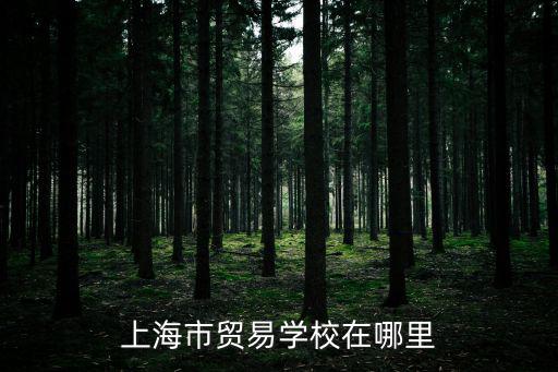 上海市貿(mào)易學(xué)校在哪里