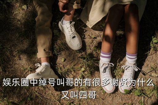 娛樂圈中綽號叫哥的有很多謝賢為什么又叫四哥