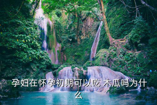 孕婦吃木瓜,孕婦不適合吃太多生冷食物
