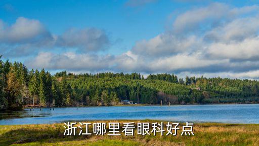 浙江省哪個眼科醫院好，浙江哪家醫院是看眼睛最好的