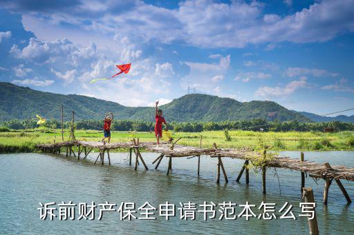 財(cái)產(chǎn)保全申請(qǐng)書(shū)范文，求一份財(cái)產(chǎn)保全申請(qǐng)書(shū)