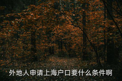 外地人申請(qǐng)上海戶口要什么條件啊