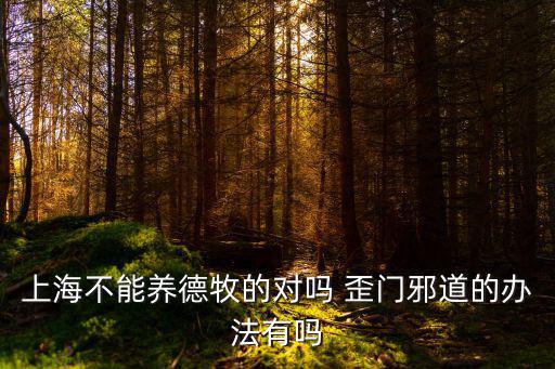 上海不能養德牧的對嗎 歪門邪道的辦法有嗎