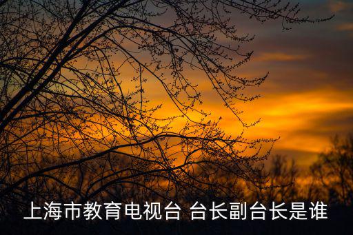 上海市教育電視臺 臺長副臺長是誰