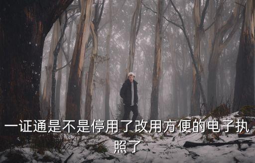 一證通是不是停用了改用方便的電子執(zhí)照了