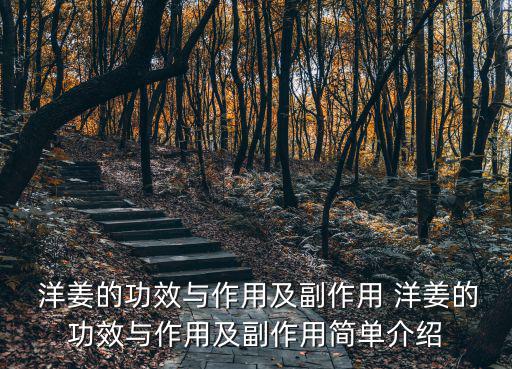 洋姜的功效,洋姜有助預防冠病
