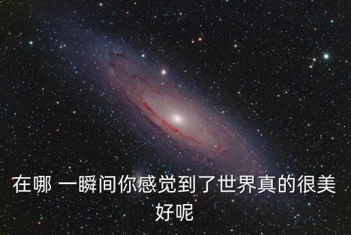 在哪 一瞬間你感覺到了世界真的很美好呢