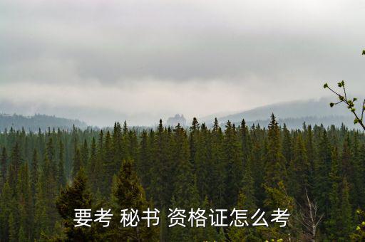 秘書(shū)資格證,秘書(shū)人士申請(qǐng)從事秘書(shū)工作須具備以下四點(diǎn)