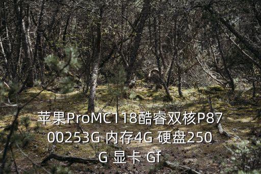 蘋果14pro配置，蘋果筆記本的處理器