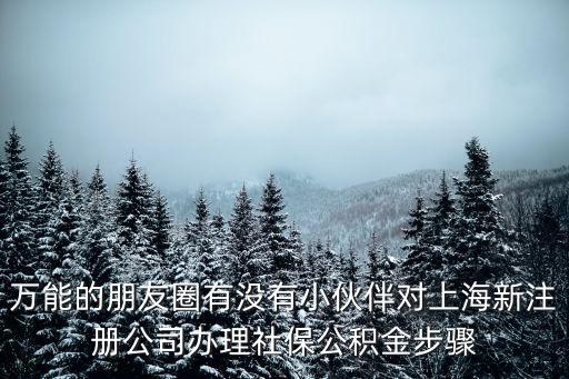 萬能的朋友圈有沒有小伙伴對上海新注冊公司辦理社保公積金步驟