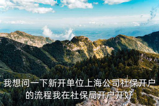我想問一下新開單位上海公司社保開戶的流程我在社保局開戶開好