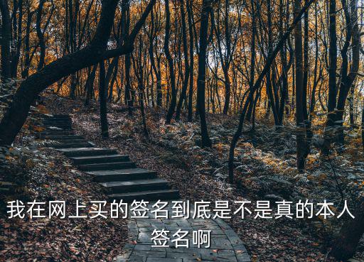一窗通網上簽名好用嗎，我在網上買的簽名到底是不是真的本人簽名啊