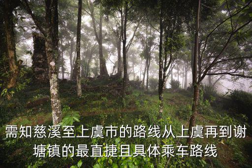 需知慈溪至上虞市的路線從上虞再到謝塘鎮(zhèn)的最直捷且具體乘車路線