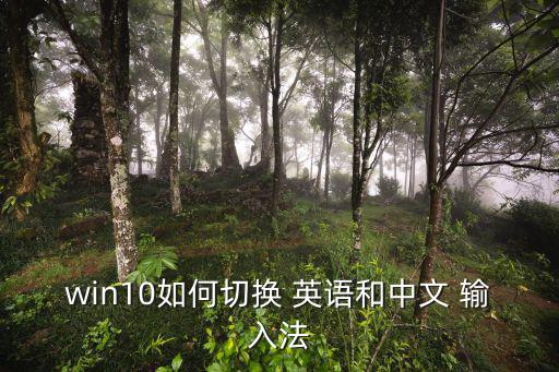 win10如何切換 英語和中文 輸入法